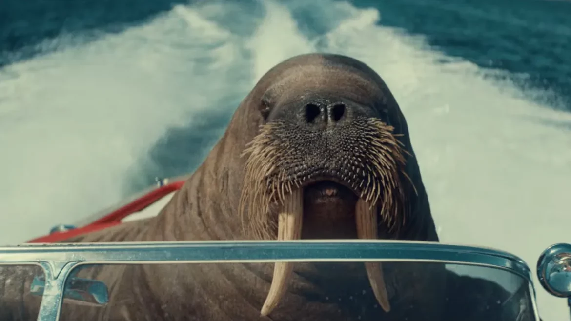 Untold Studios and Andreas Nilsson Wind Up Virgin Media Campaign With a Walrus Whizzer